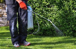 Pesticide Sprayers