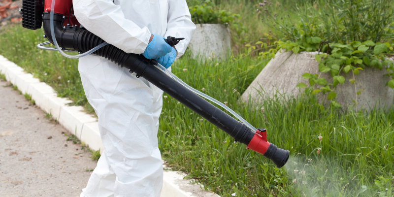 Critter Control: Are Multiple Pest Control Sprayers Necessary?