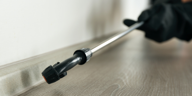 What to Consider When Ordering Pest Control Sprayers