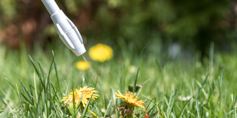 3 Characteristics of Effective Herbicide Sprayers